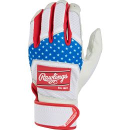 Rawlings Renegade Catchers Set Ages 15 and up Black-Silver